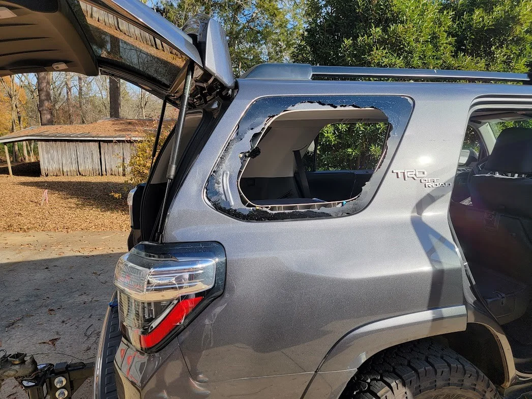 Deer Impact.webp