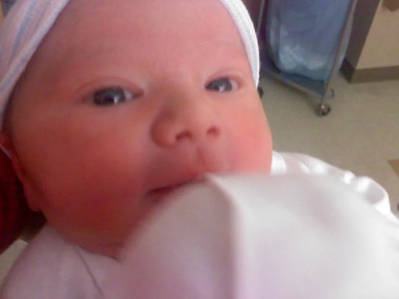 derek 1.webp