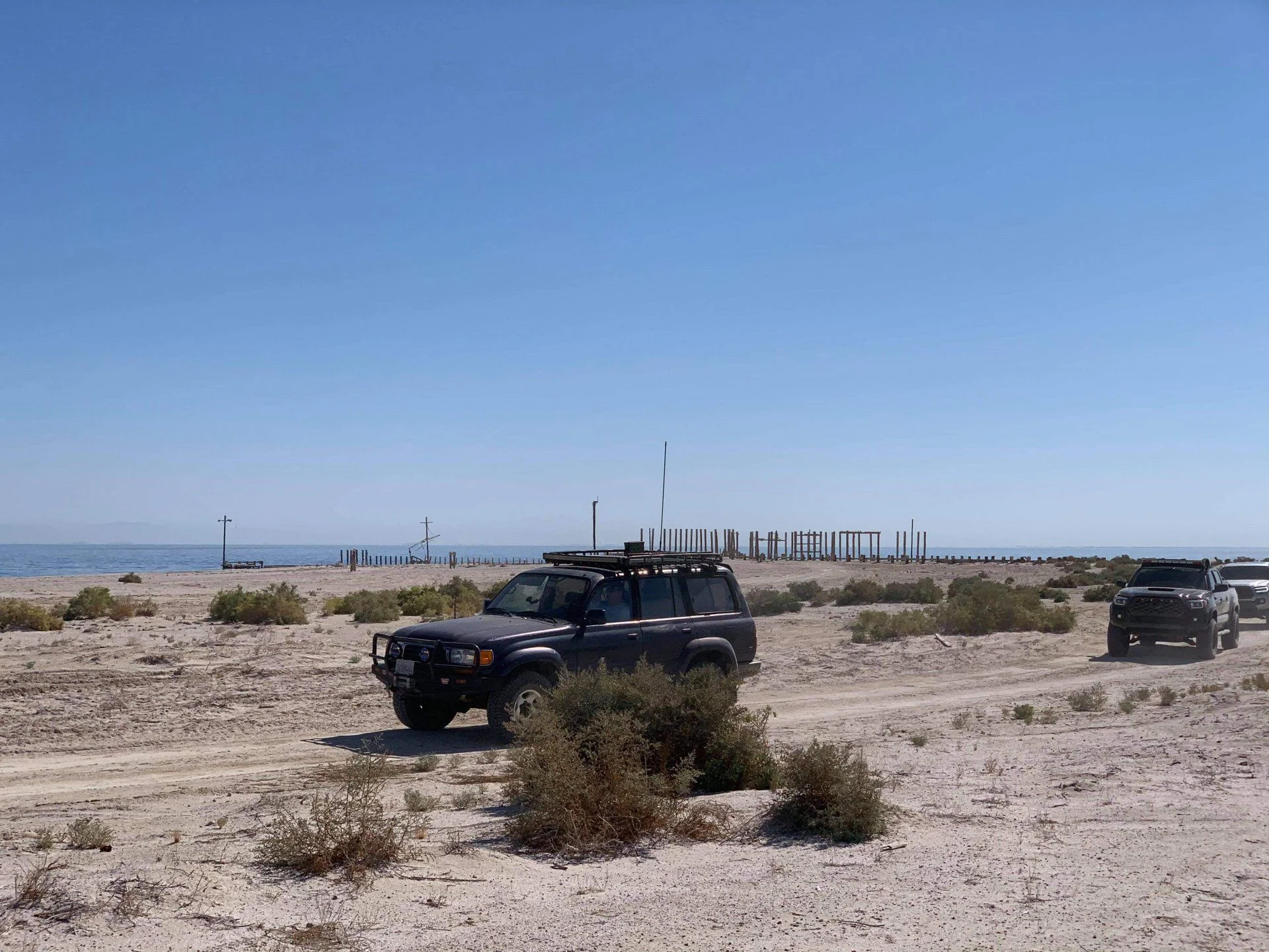 desert_1.webp