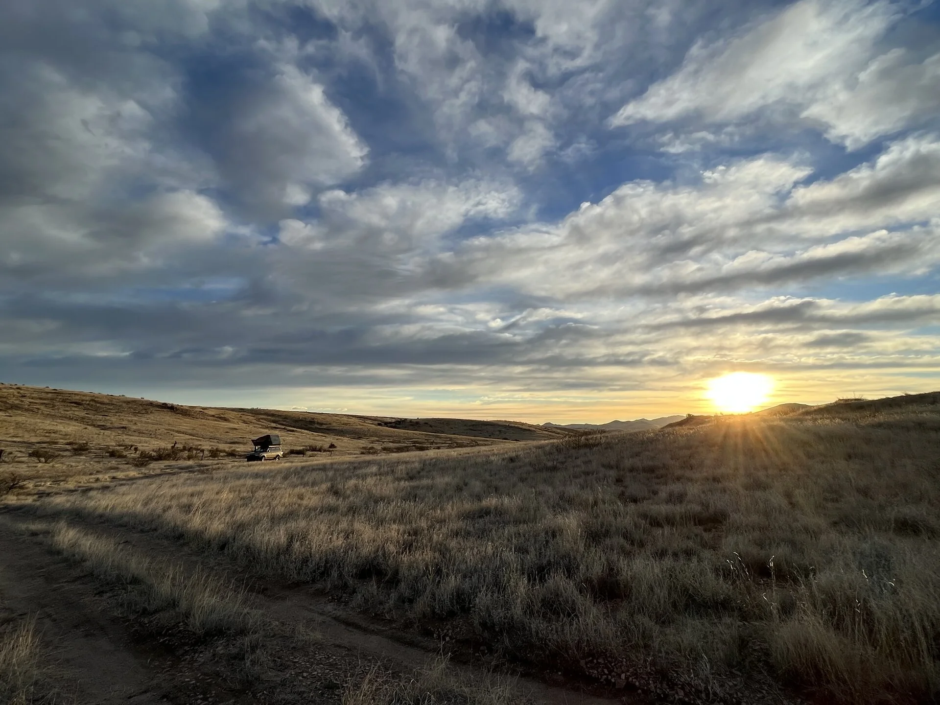 DFB3739B-F1FB-45D0-8341-85630C8389CE.webp