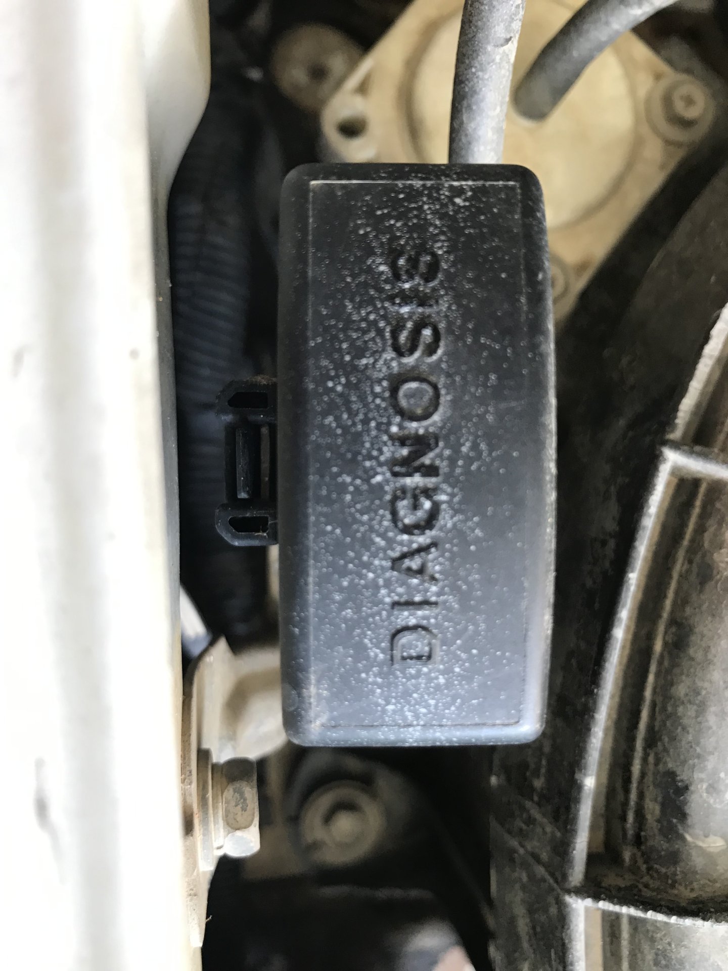 Diagnostic Port2.JPG