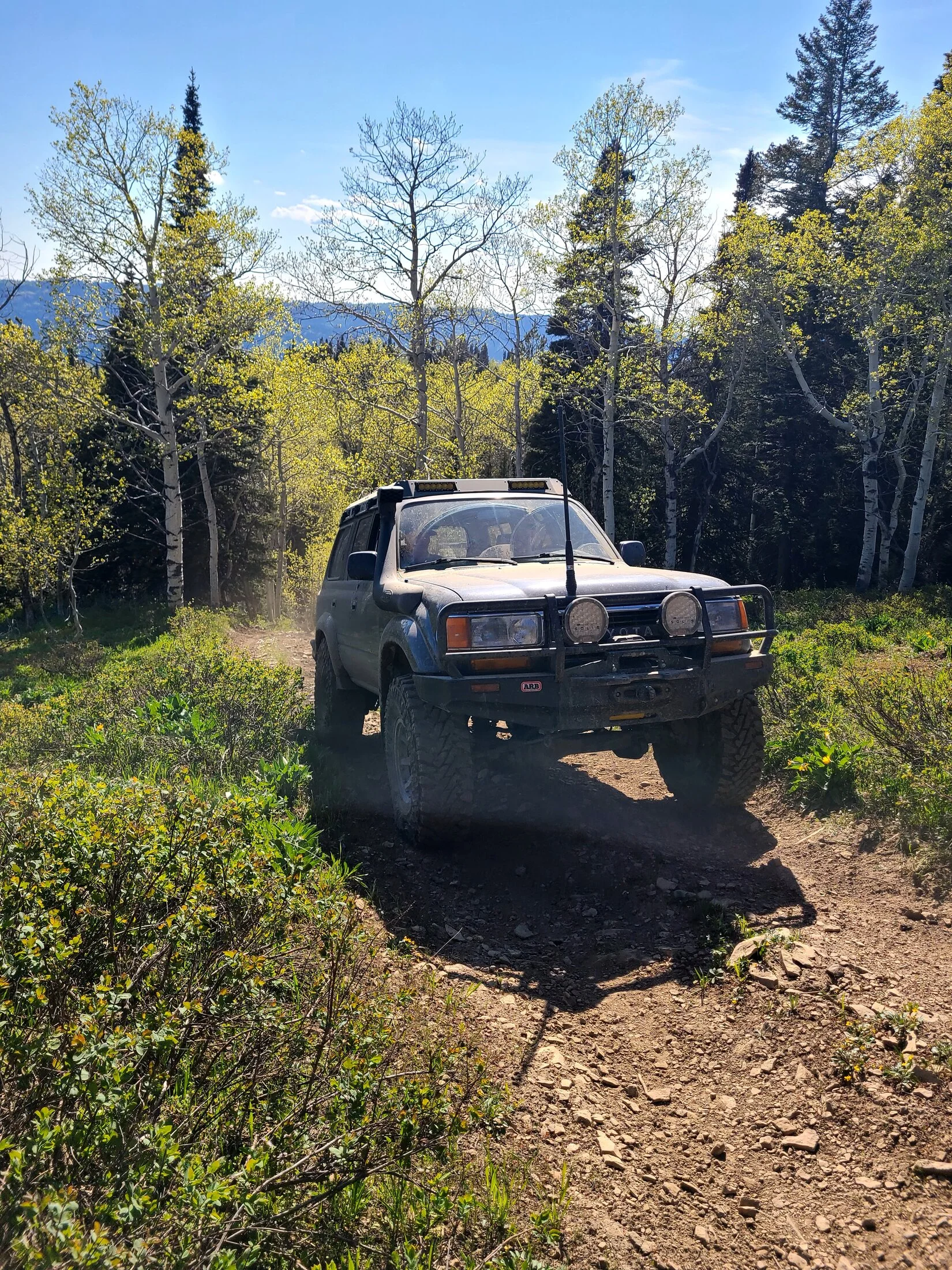 Diamond Creek 2.jpeg