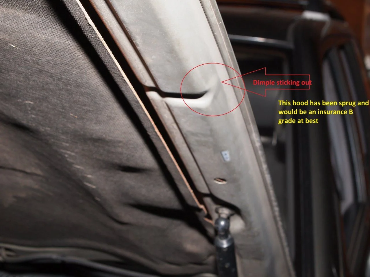 dimple hood B grade.webp
