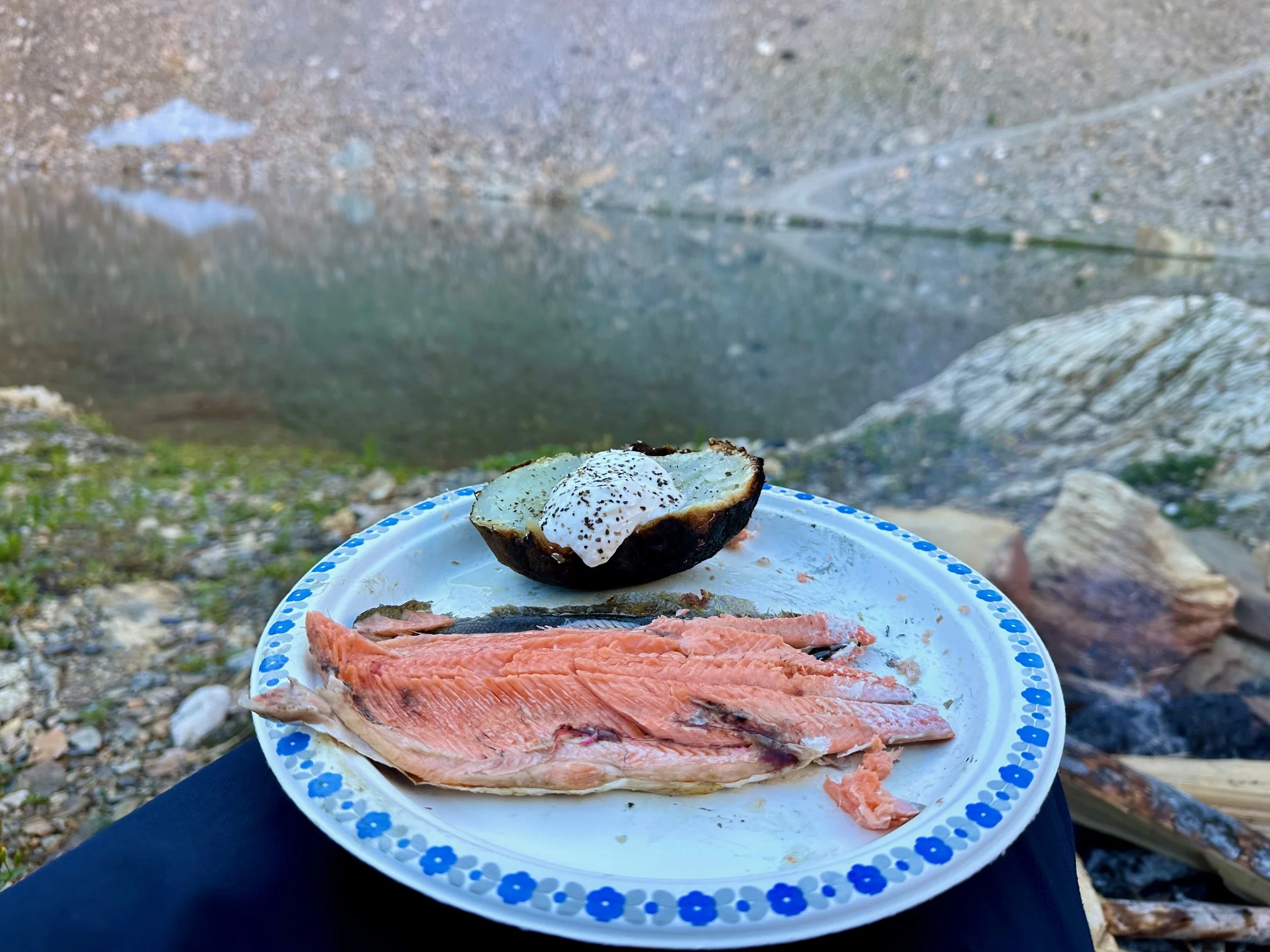 dinner3.webp