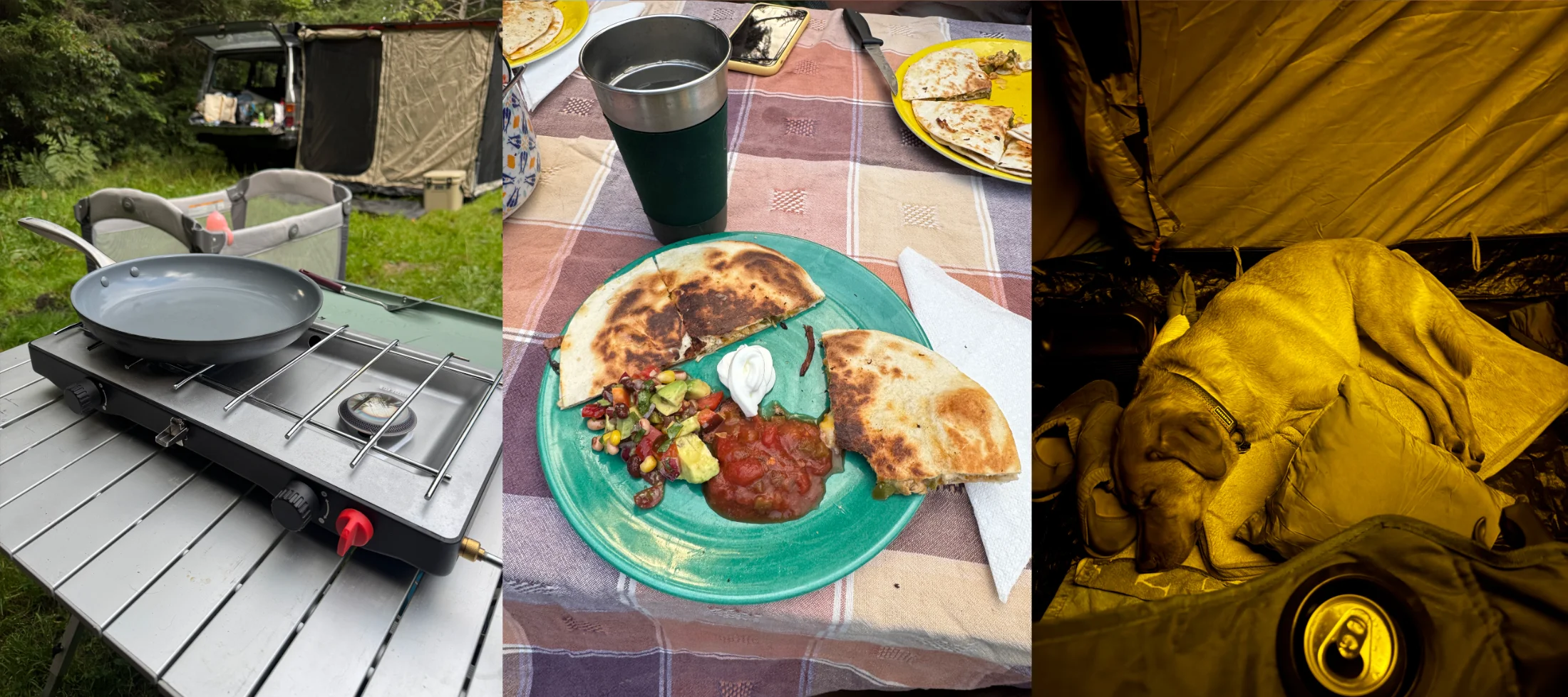 DinnerSleeping.webp