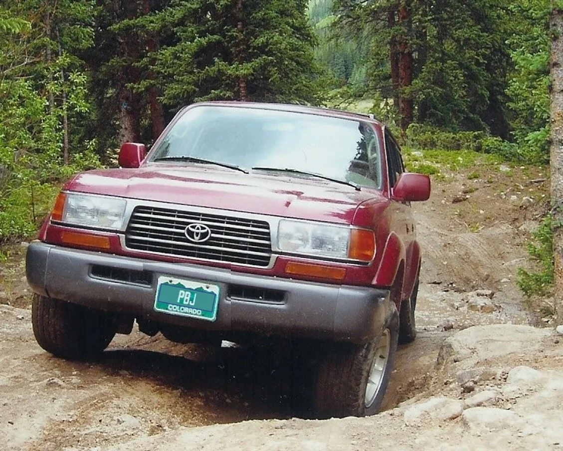 Dip_NoPlate.webp