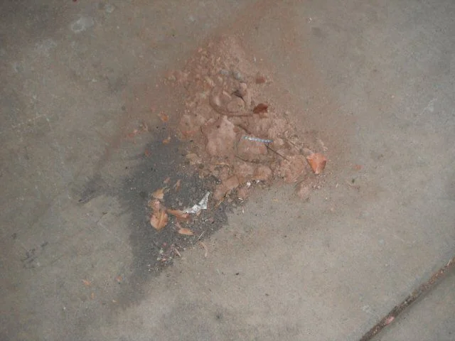 dirtpile.webp