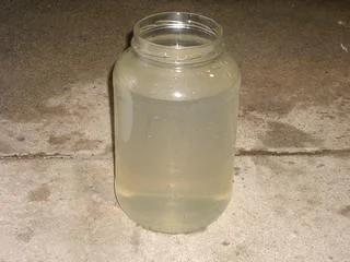 Distilled_Flush_1.webp