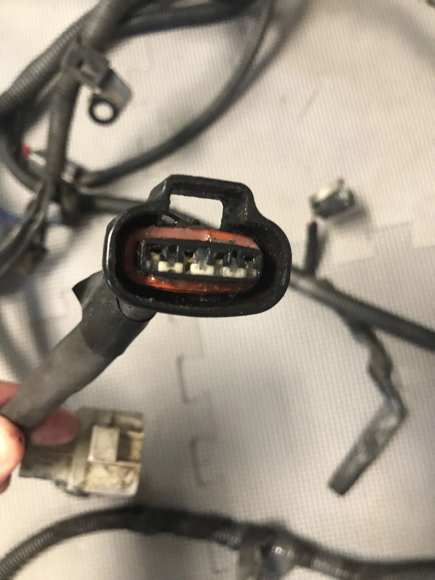 distr.connector.webp