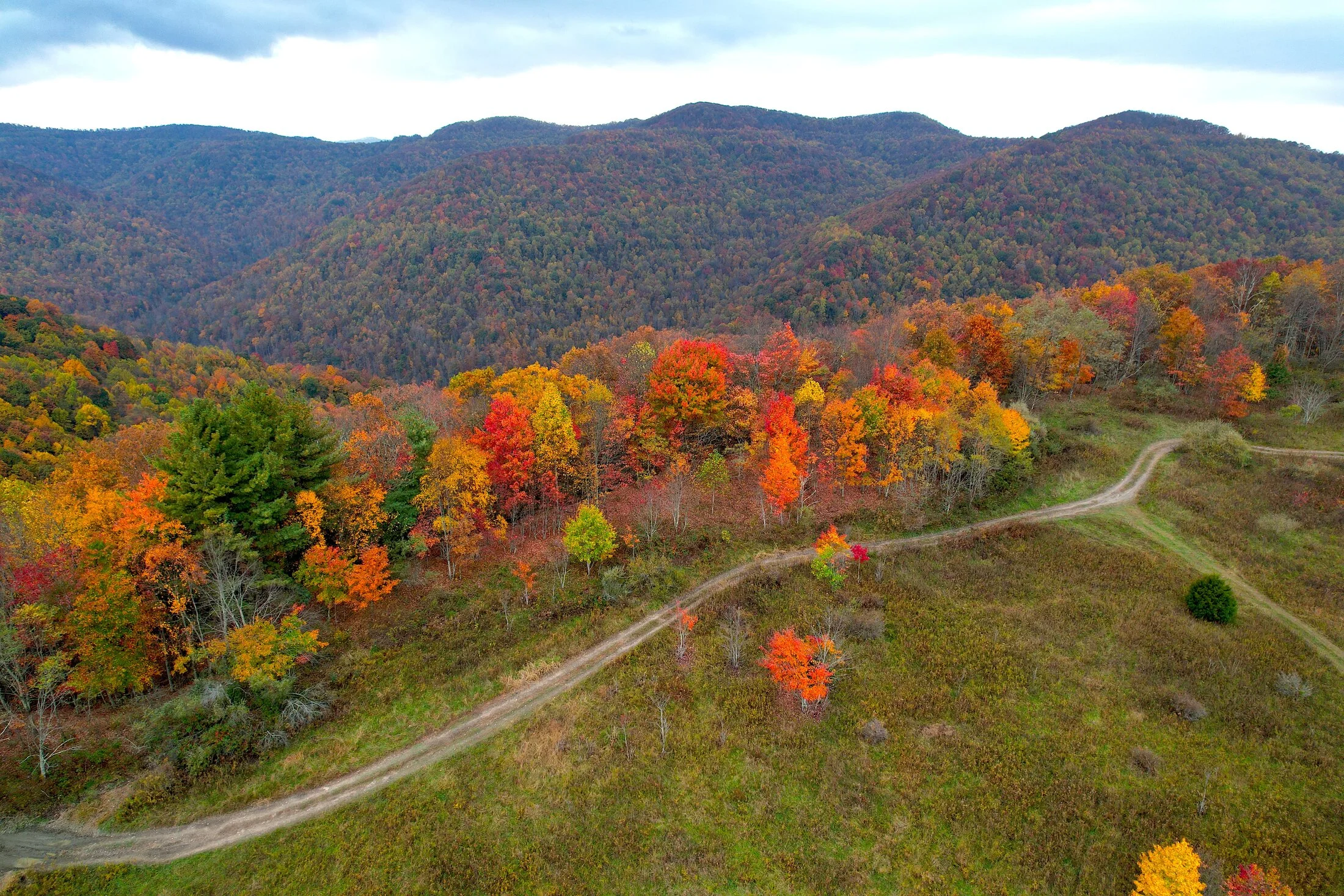 DJI_0325.webp