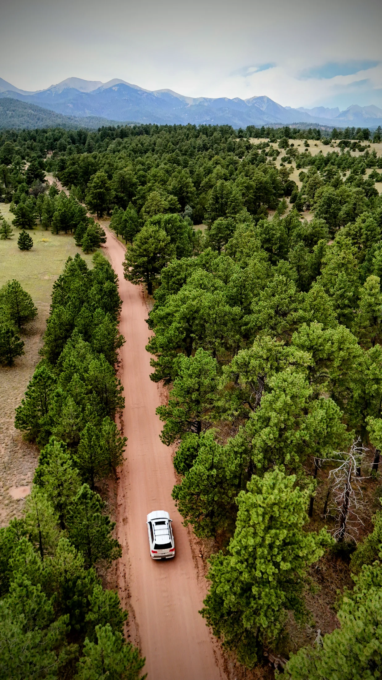 DJI_20250805154344_0076_D~2.webp