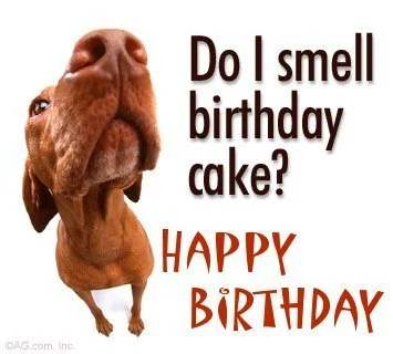 do_i_smell_birthday_cake.webp