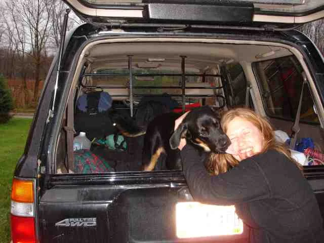 dog 1.webp