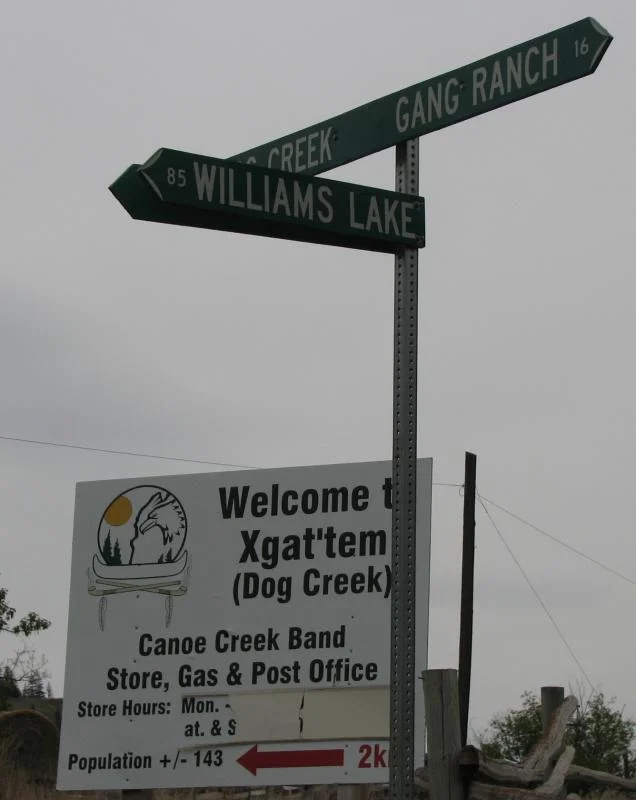 DogCreek.webp