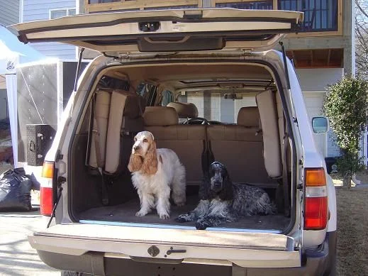 Dogs small 2.webp