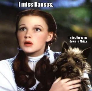 dorthy.webp