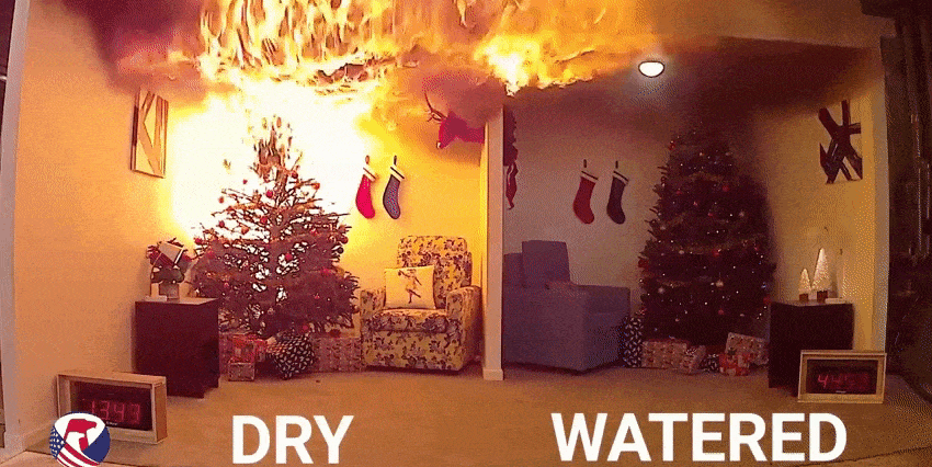 download (1).gif