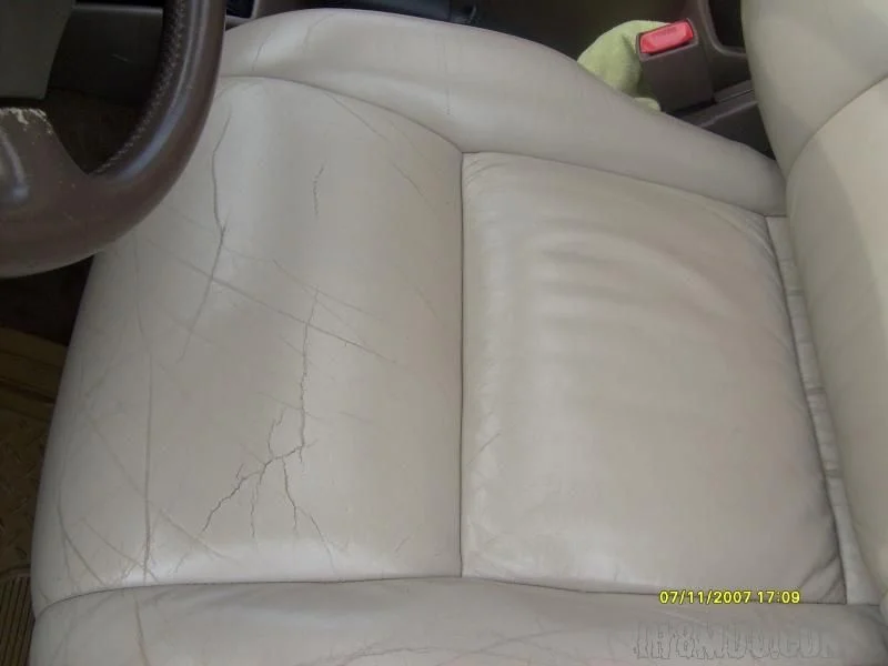 dr seat bottom.webp