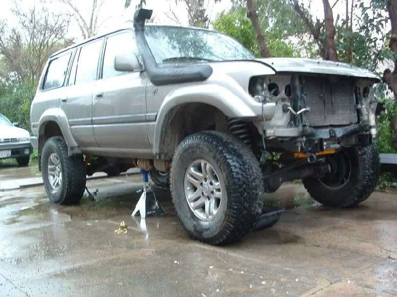 driveway carnage.webp
