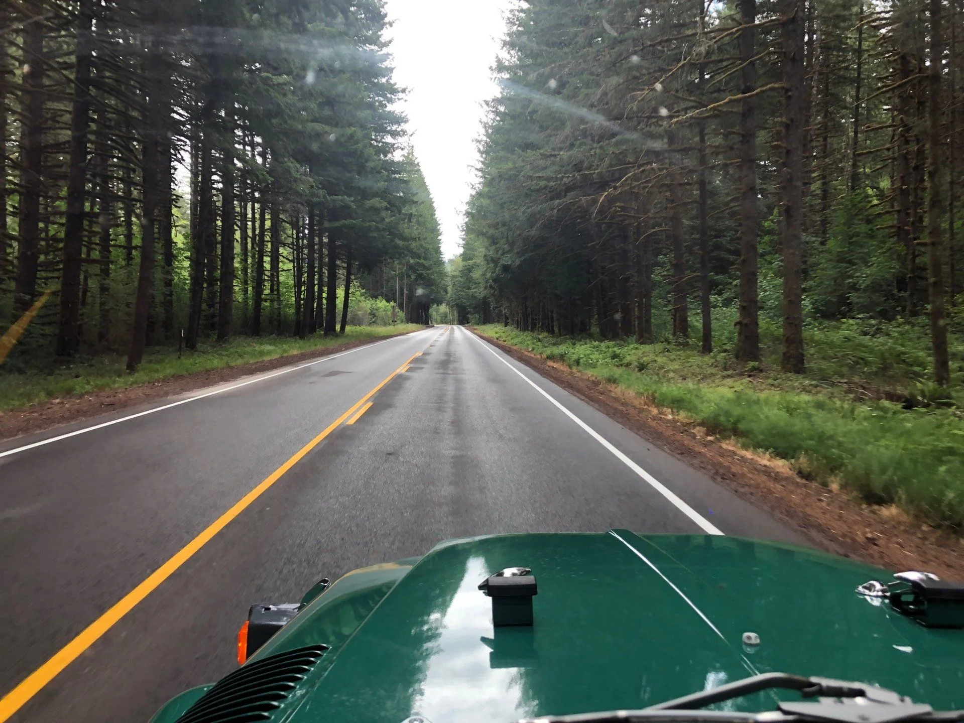 Driving 2.webp