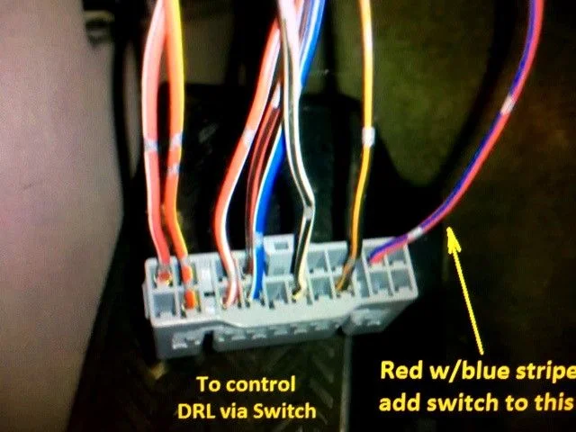 DRL1.webp