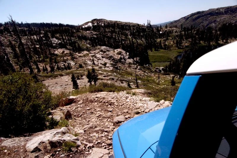 Dropping in.webp