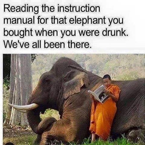 Drunk Elephant.jpg