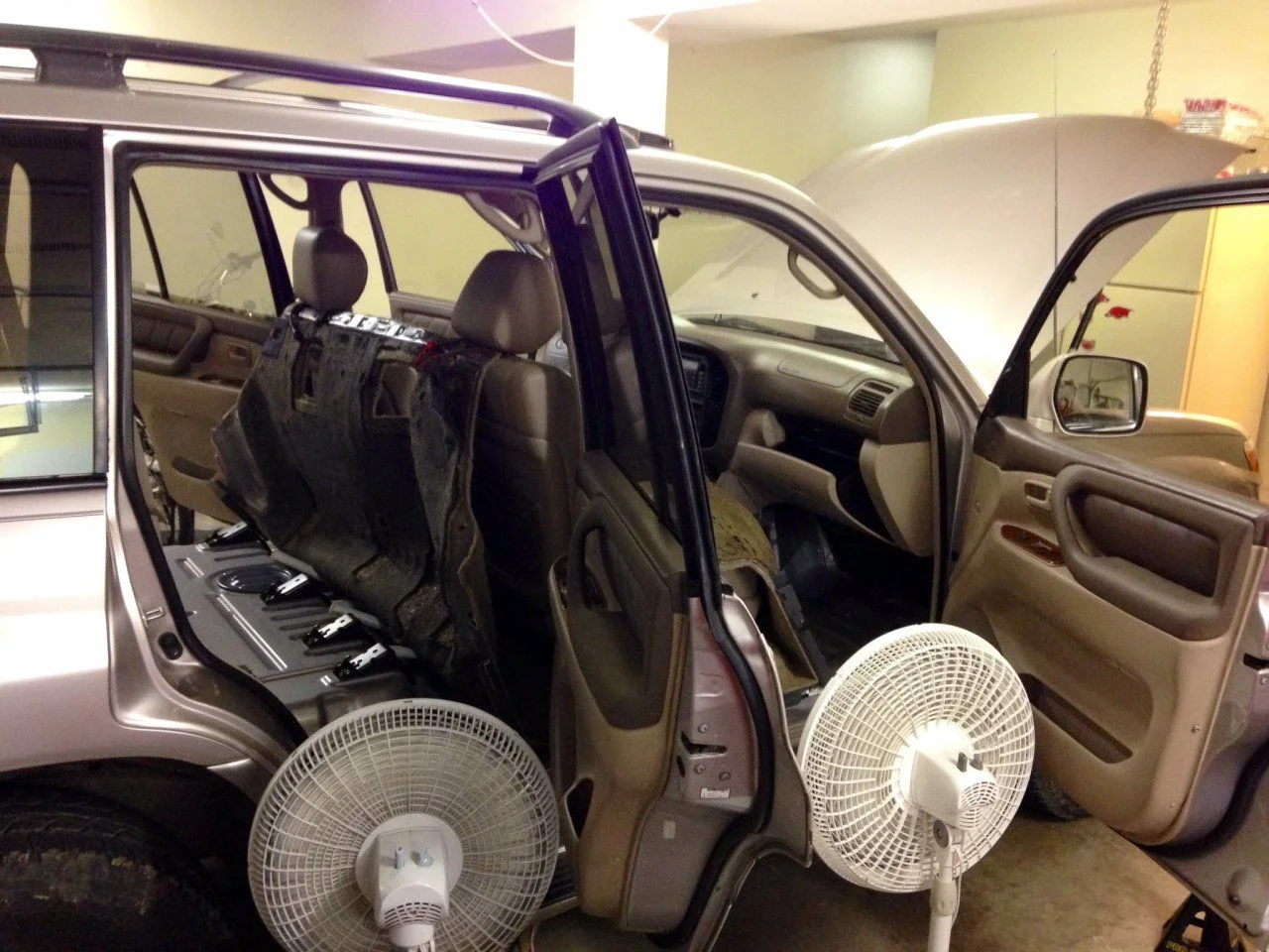 Drying w:no rear seats.webp