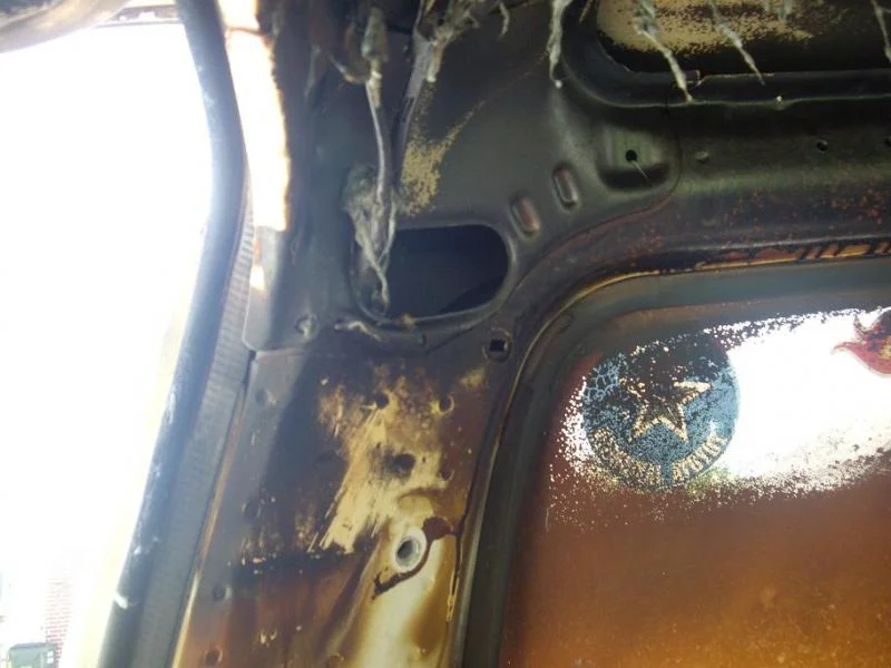 DS rear start.webp