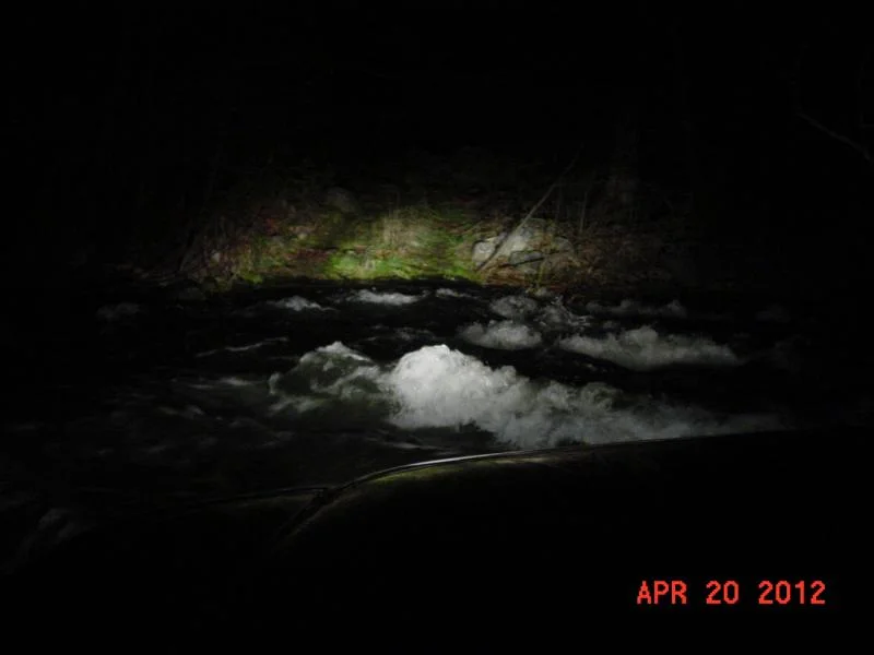 DSC00004.webp