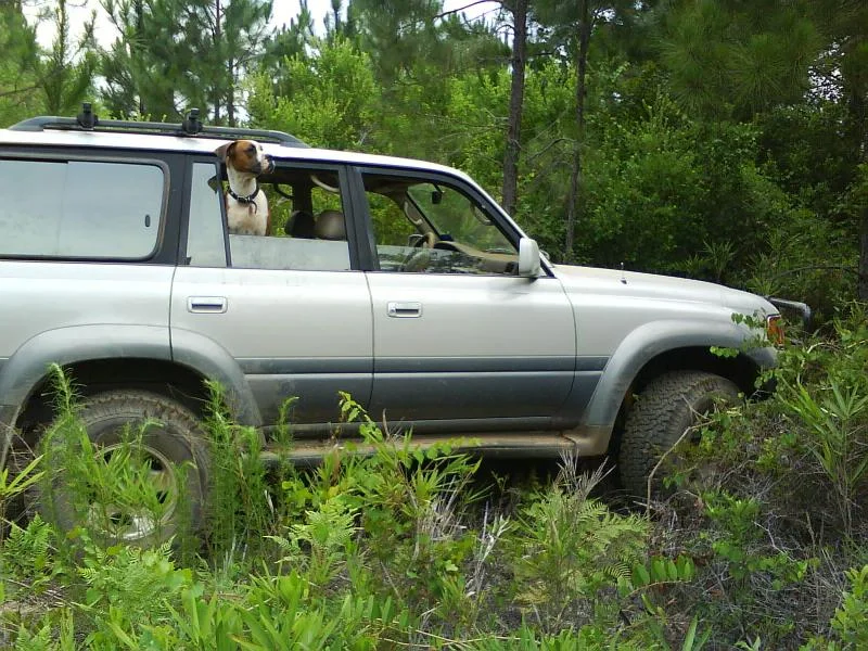 DSC00016.webp