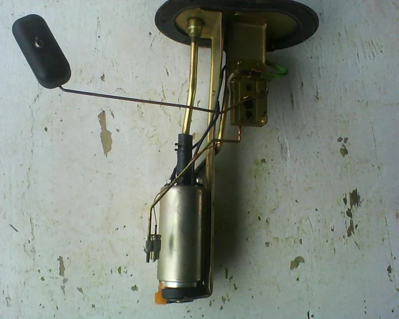 DSC00028.webp