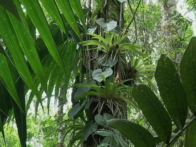 DSC00042 (2).webp