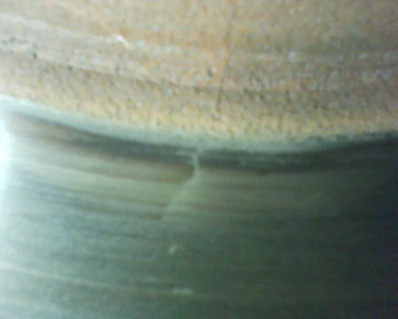 DSC00066.webp