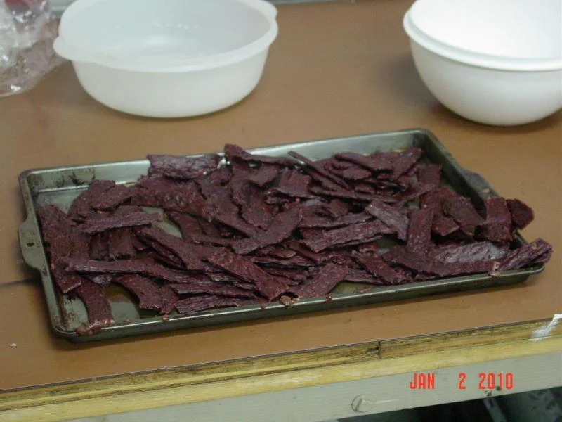 DSC00073.webp