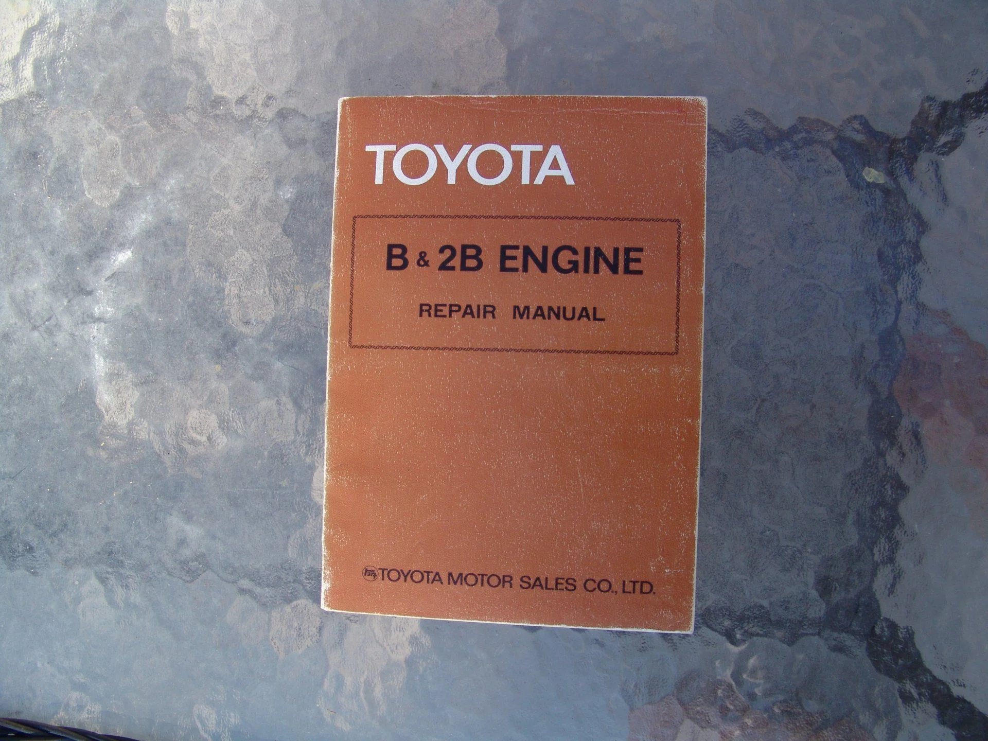 DSC00081.webp