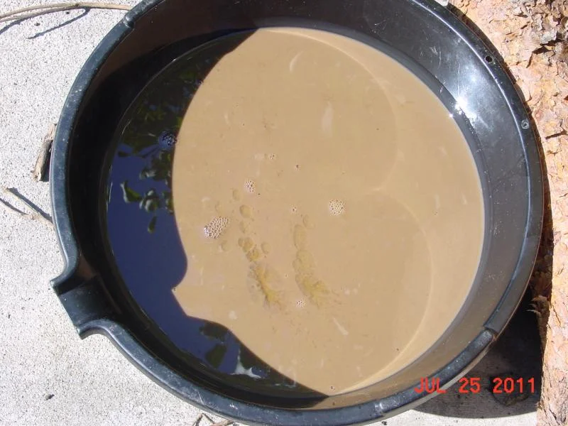 DSC00132.webp