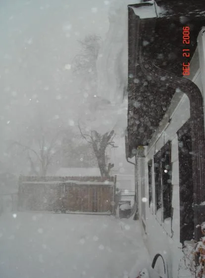 DSC00298.webp
