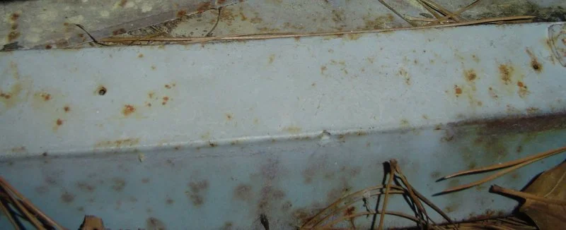 DSC00361.webp