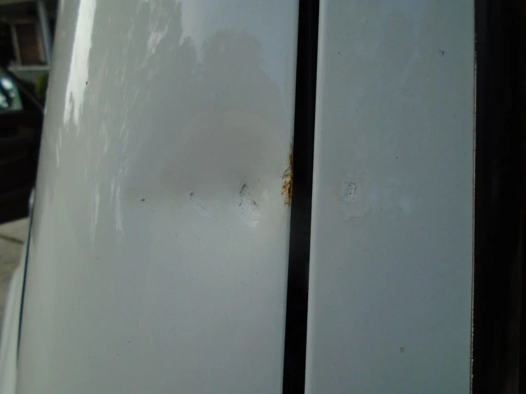 DSC00429.webp