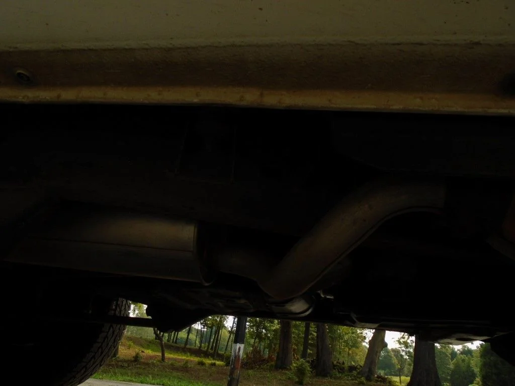 DSC00435.webp