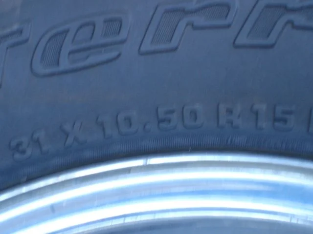 DSC00435.webp