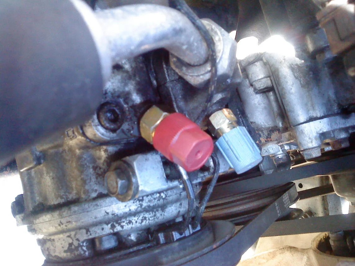 DSC00504.webp