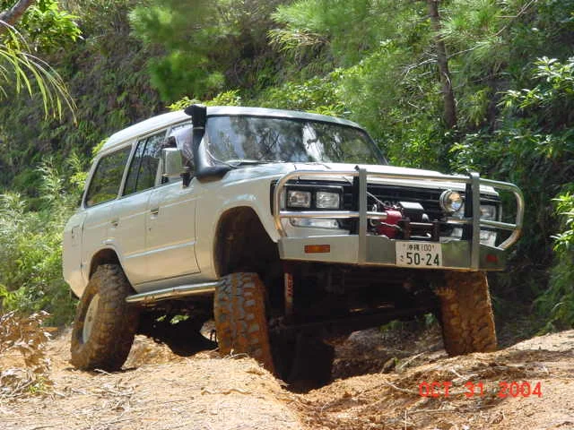 DSC00525.webp