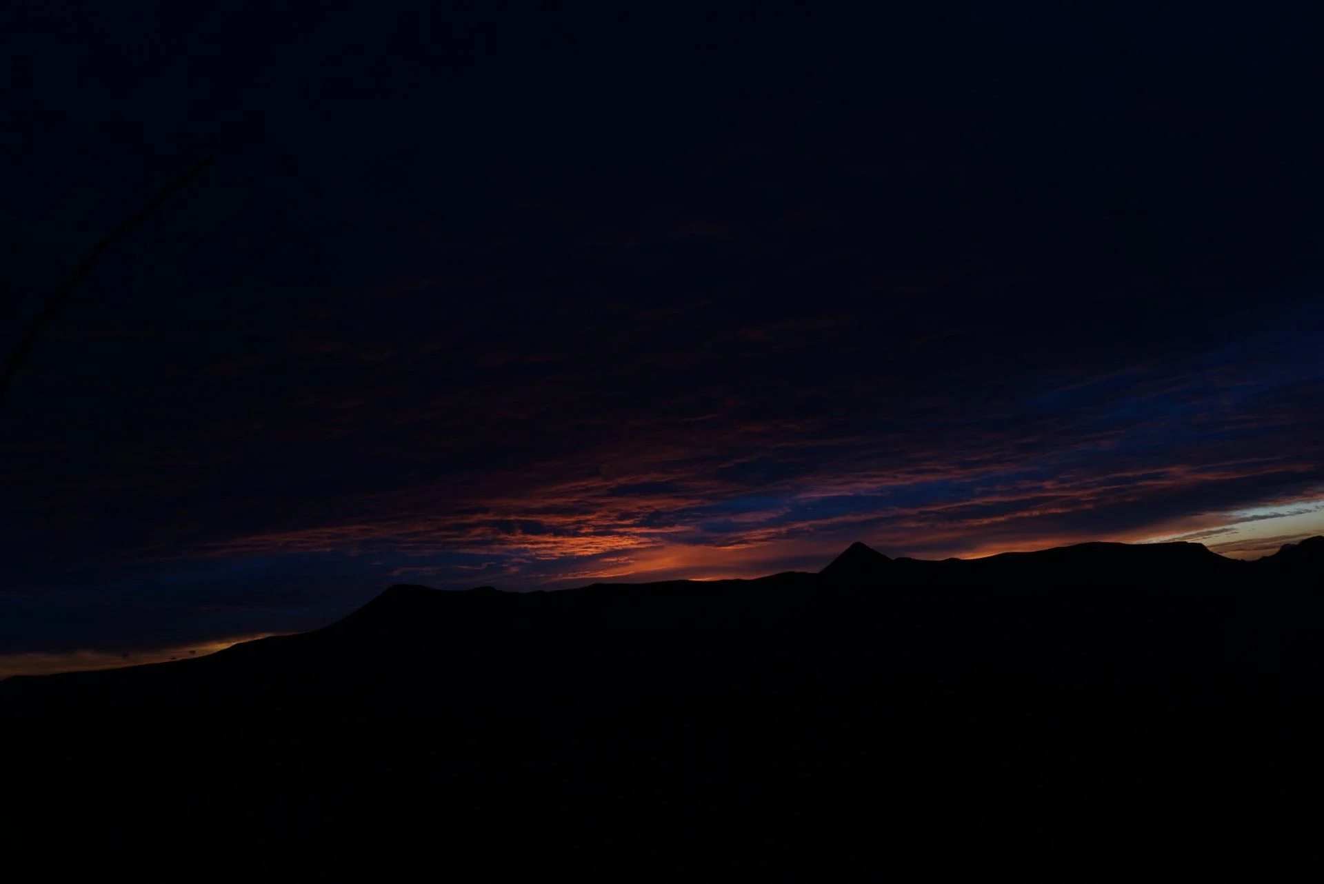 DSC00632.webp