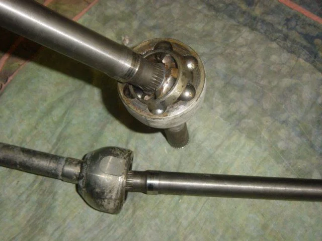 DSC00838.webp