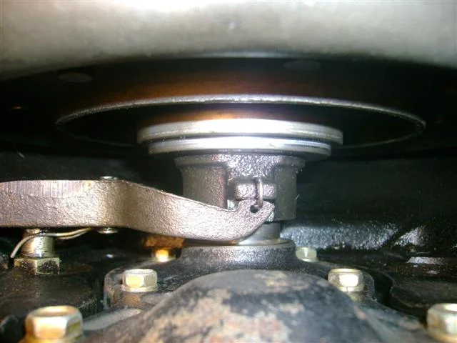 DSC00905 (Small).webp