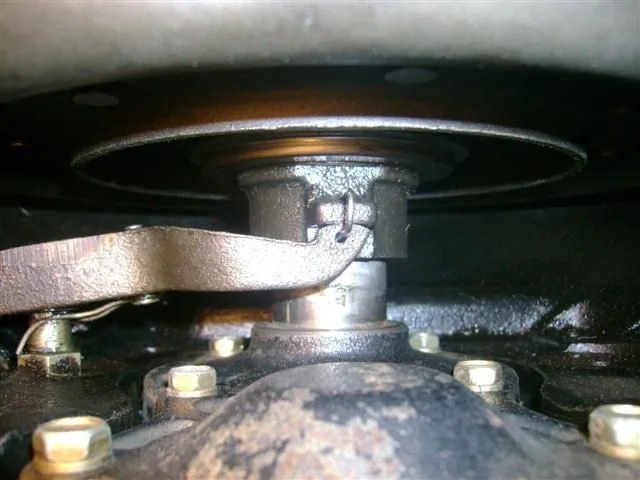 DSC00906 (Small).webp