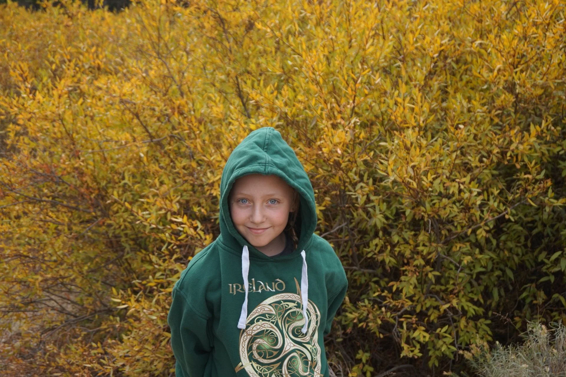 DSC00929.webp