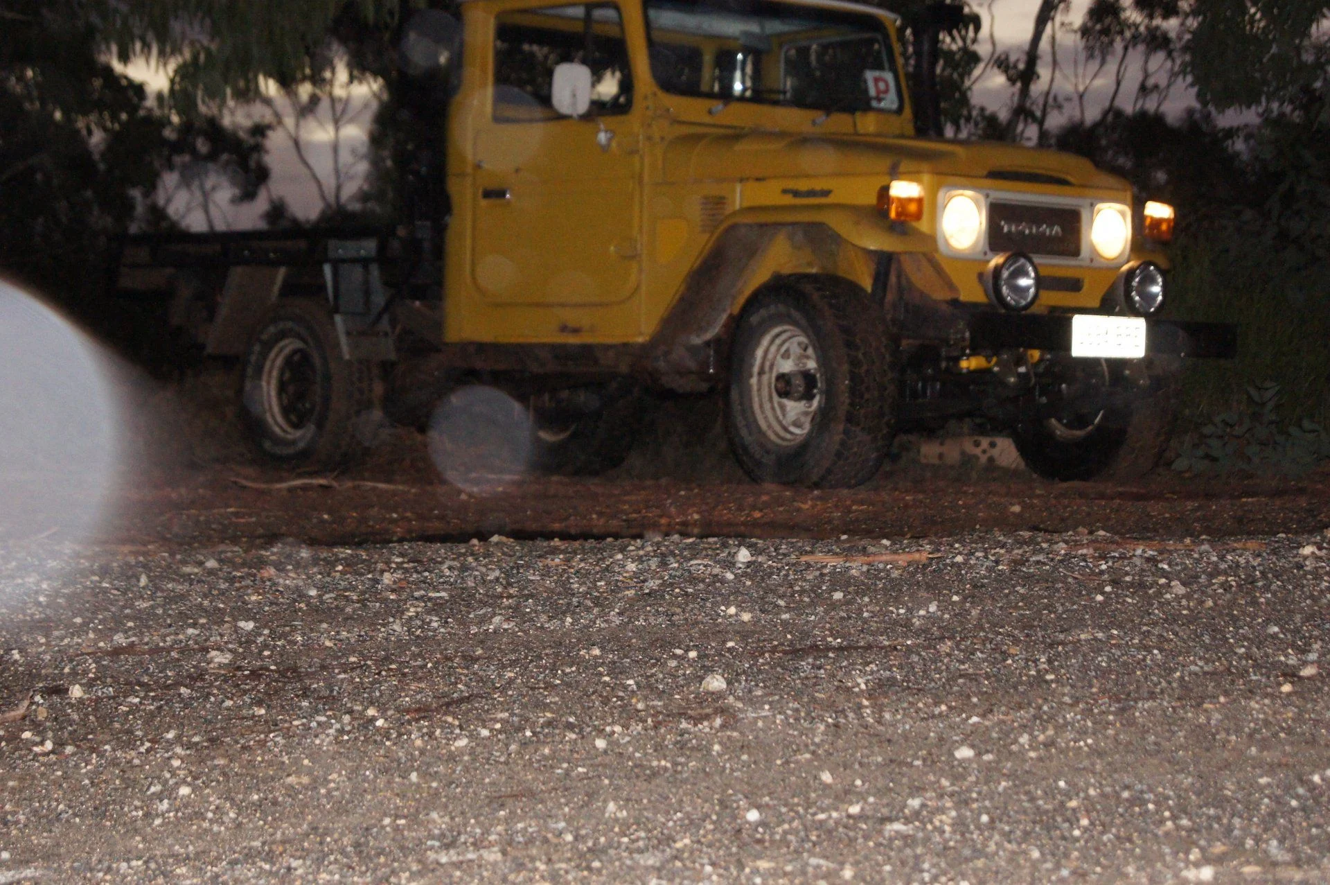 DSC01214.webp